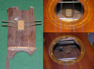 Echo Ukulele Echo devices