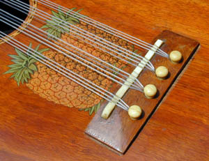 Double pineapple decal from unusual